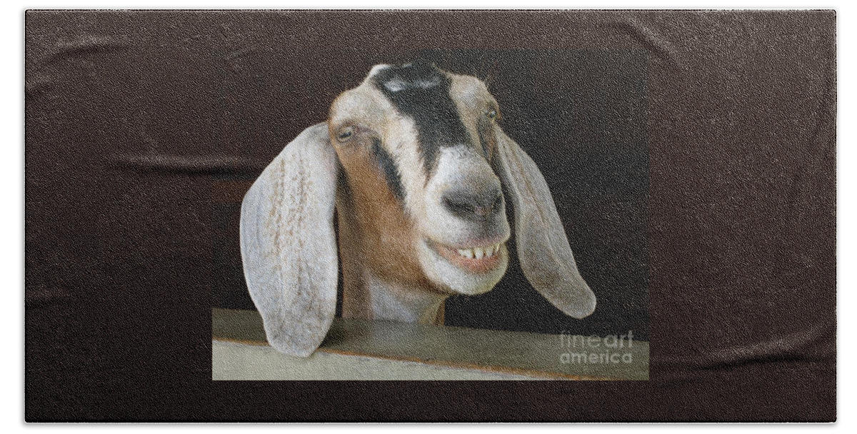Goat Bath Towel featuring the photograph Smile Pretty by Ann Horn
