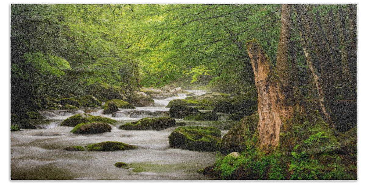 Great Smoky Mountains Bath Towel featuring the photograph Smoky Mountains Solitude - Great Smoky Mountains National Park by Dave Allen