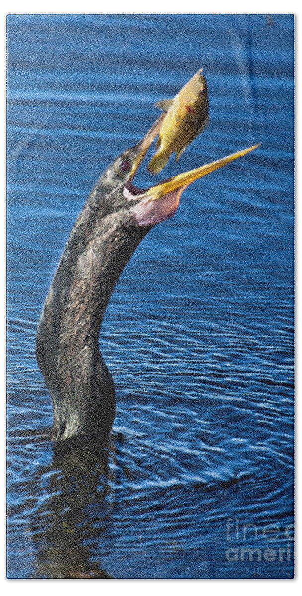 Adult Bath Towel featuring the photograph Snakebird by Ronald Lutz