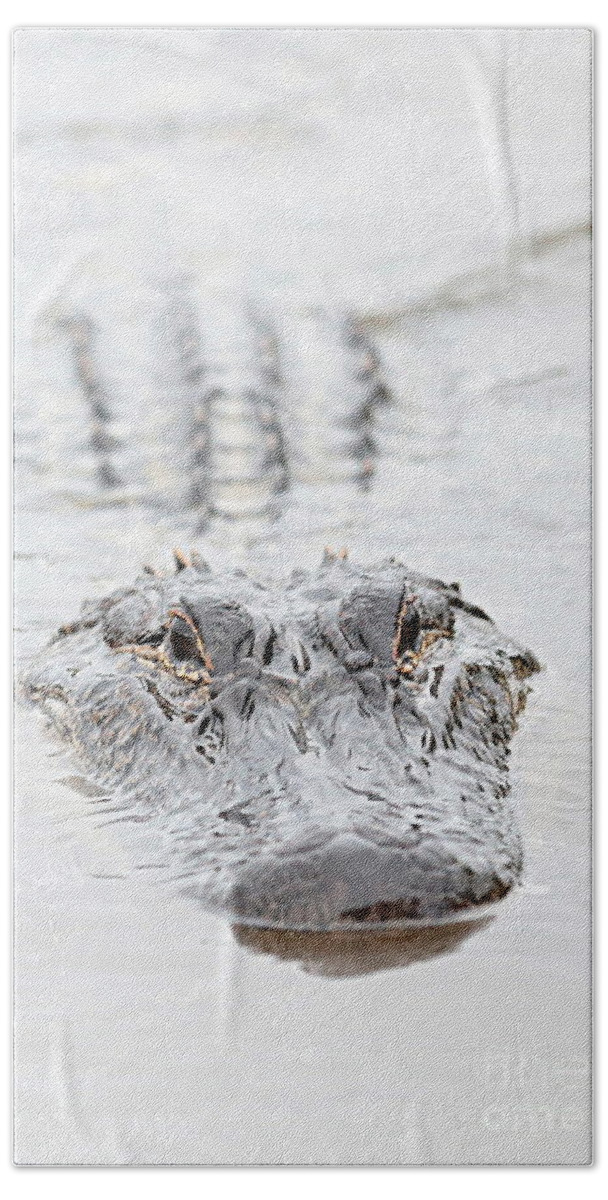 Alligator Bath Towel featuring the photograph Sneaky Swamp Gator by Carol Groenen
