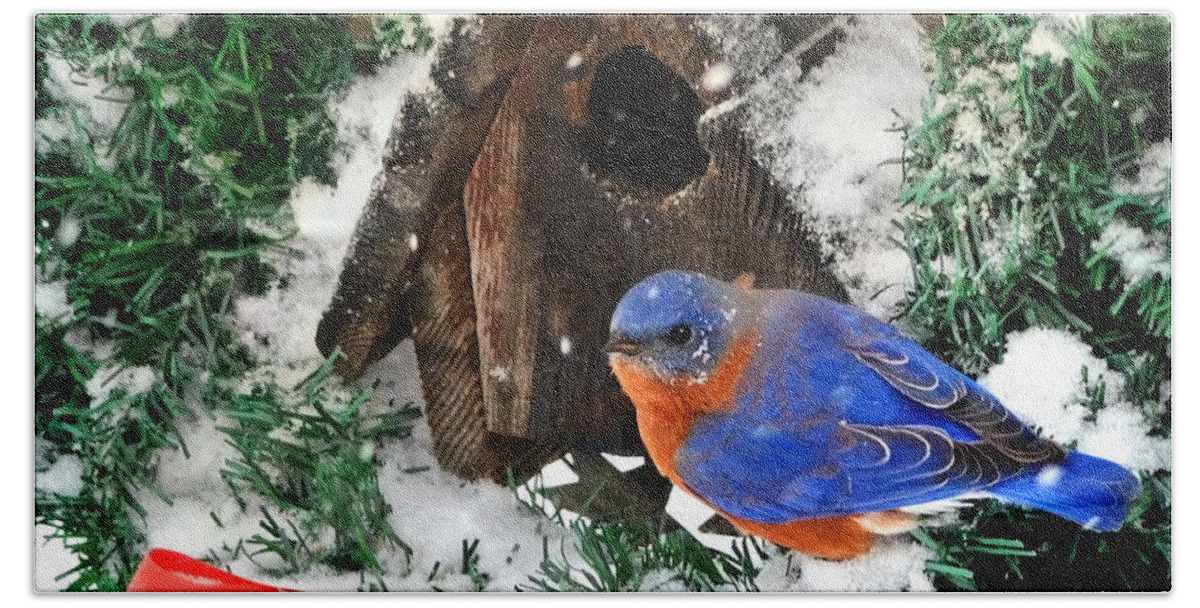 Christmas Bath Towel featuring the photograph Snow Bluebird Christmas Card by Nava Thompson