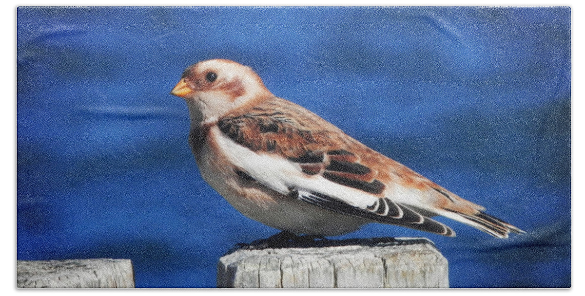 Snow Bunting Bath Towel featuring the photograph Snow Bunting by Zinvolle Art