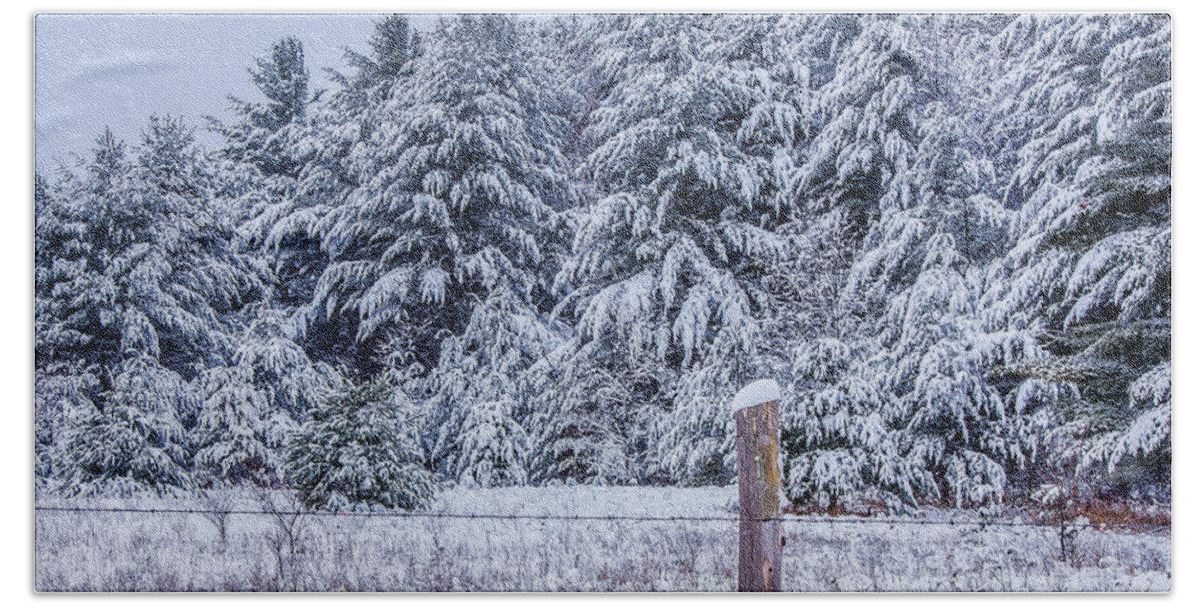 Snow Covered Pine Trees Bath Towel featuring the photograph Snow Day by Rick Bartrand