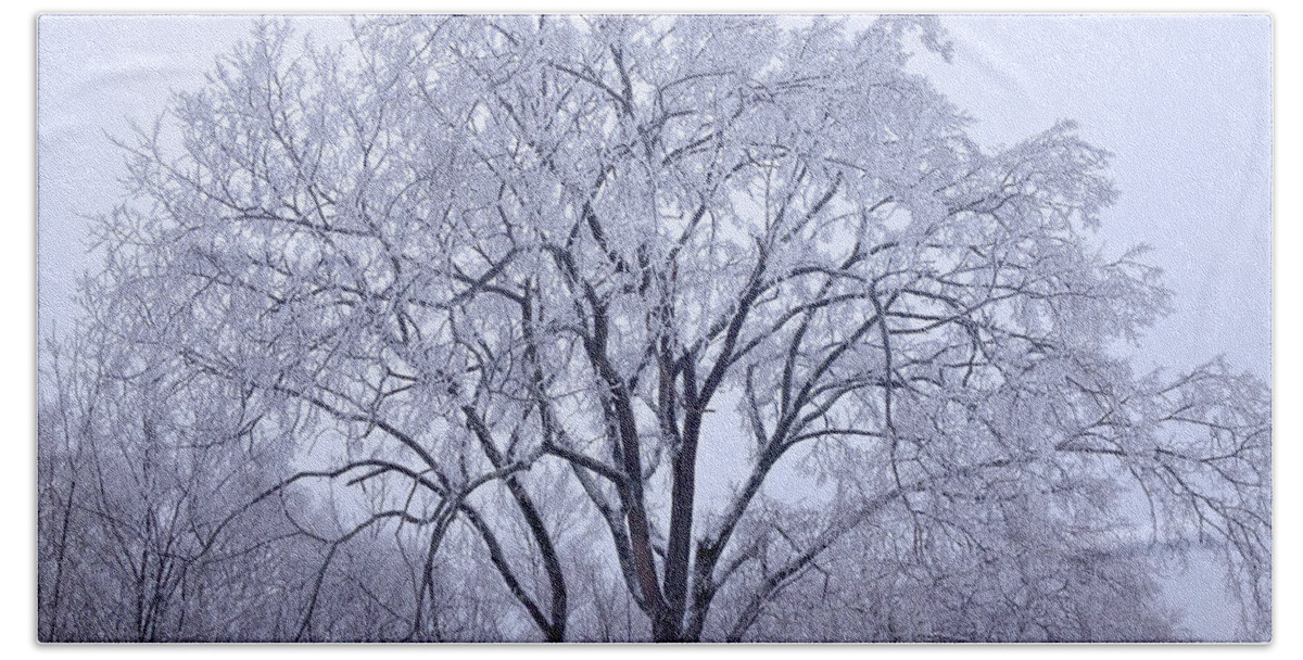 Snow Scape Bath Towel featuring the photograph Snow Frosting by Kristin Hatt