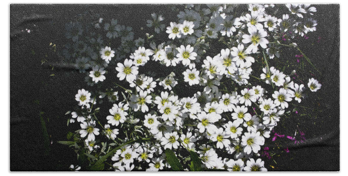 White Flowers Photographs Bath Towel featuring the photograph Snow in Summer by Joann Copeland-Paul