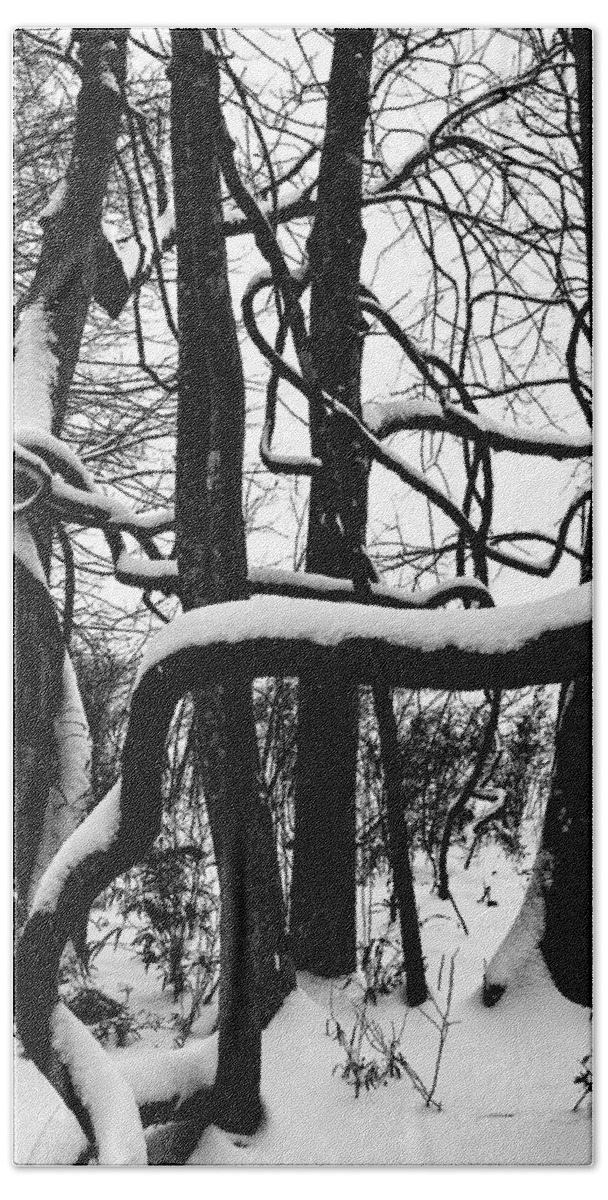 Photo Bath Towel featuring the photograph Snow in the Jungle by John Haldane