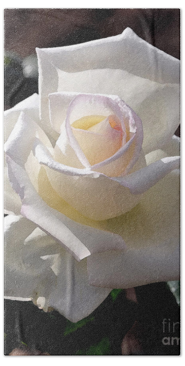 Rose Bath Towel featuring the digital art White Rose Bloom by Kirt Tisdale
