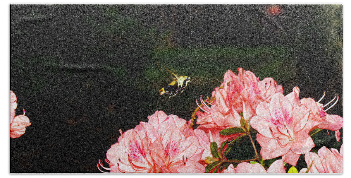 Fine Art Photography Bath Towel featuring the photograph Snowberry Clearwing I by Patricia Griffin Brett