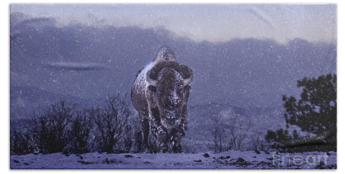 American Bison Bath Towel featuring the photograph Snowflakes Falling on My Head by Kristal Kraft
