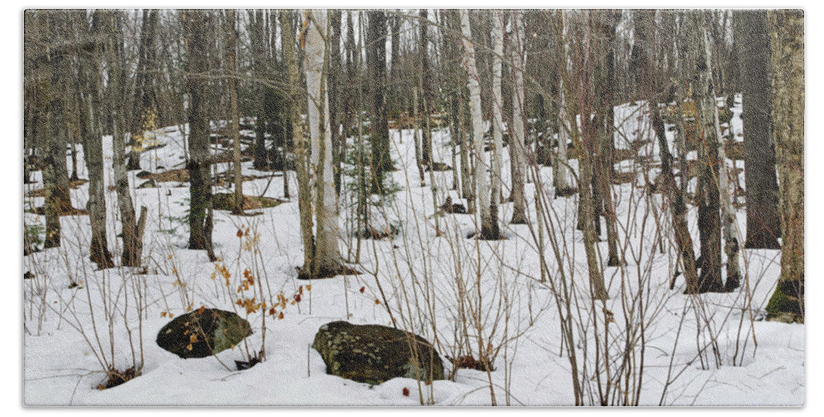Forest Bath Towel featuring the photograph Snowy Carpet by Keith Armstrong