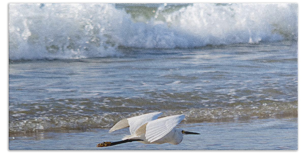 Wildlife Bath Towel featuring the photograph Snowy Egret and Waves by Kenneth Albin
