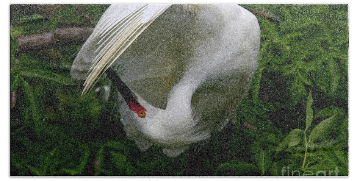 Snowy Egret Hand Towel featuring the photograph Down Under by John F Tsumas