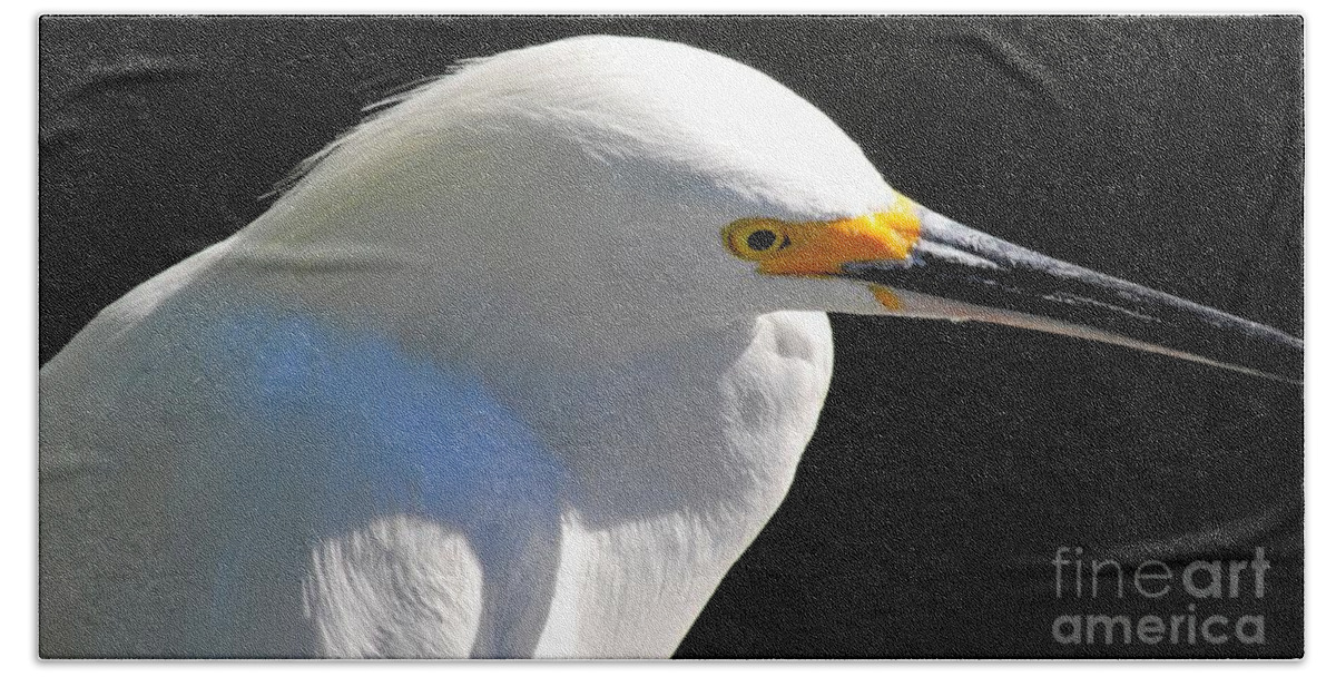 Egret Hand Towel featuring the photograph Snowy Egret by Quinn Sedam
