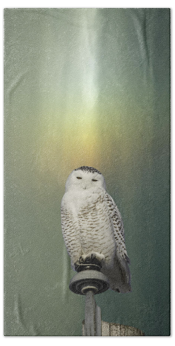 Snowy Owl (bubo Scandiacus) Hand Towel featuring the photograph Snowy Owl And Aurora Borealis by Thomas Young