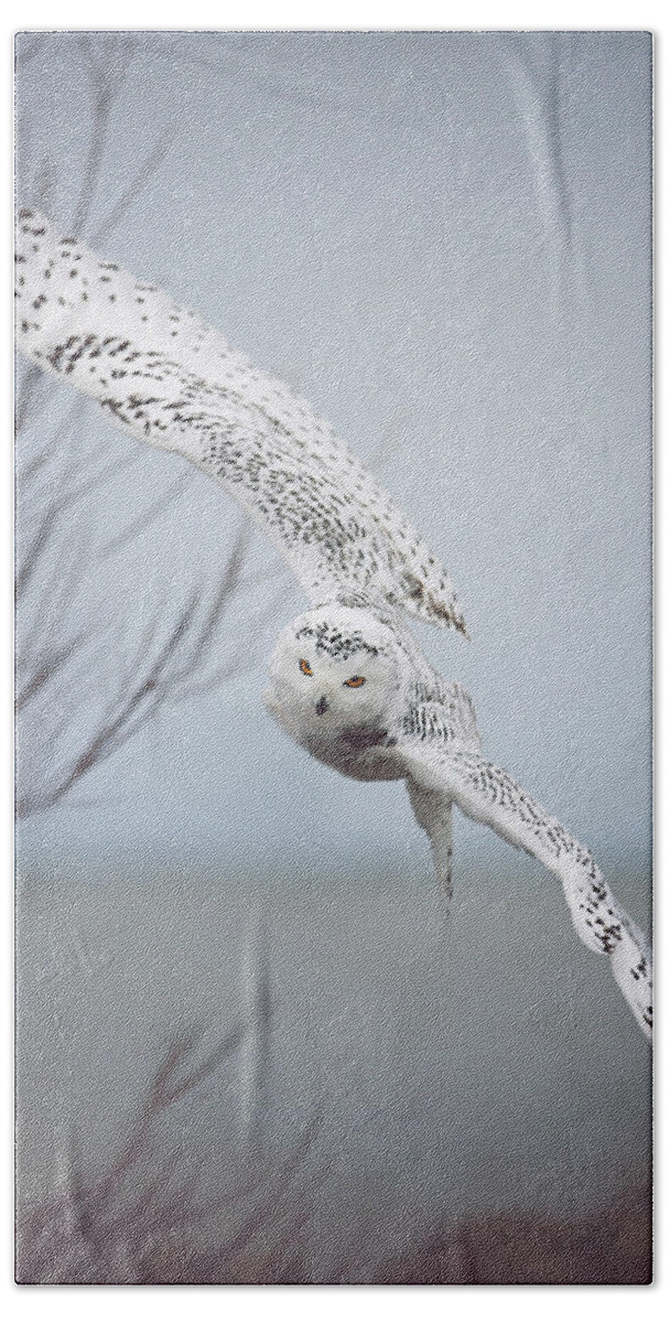 Wildlife Hand Towel featuring the photograph Snowy Owl In Flight by Carrie Ann Grippo-Pike