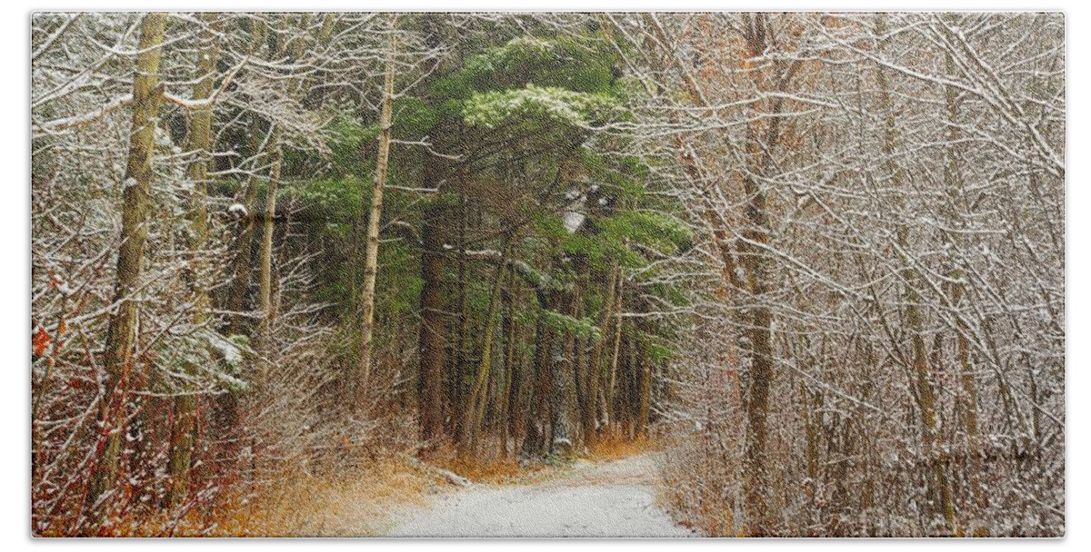 Snow Bath Towel featuring the photograph Snowy Tunnel of Trees by Terri Gostola