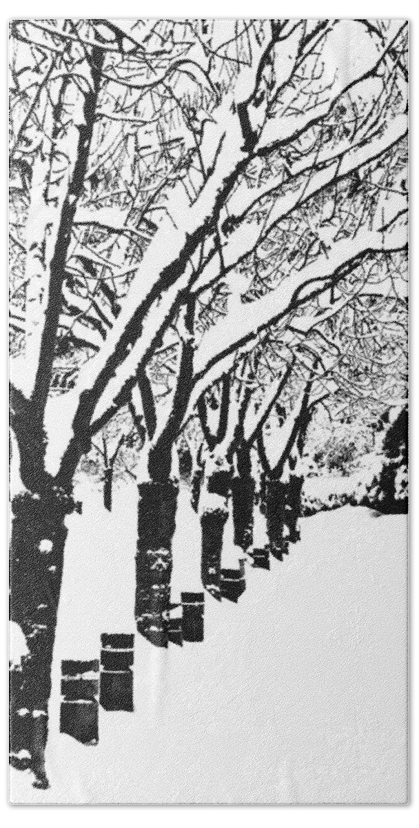 Vancouver Hand Towel featuring the photograph Snowy Walk by Alicia Kent