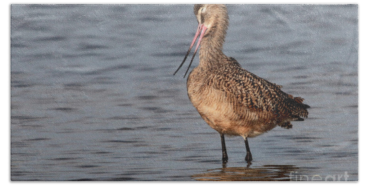Merbled Godwit Hand Towel featuring the photograph So Cute - Marbled Godwit by Meg Rousher
