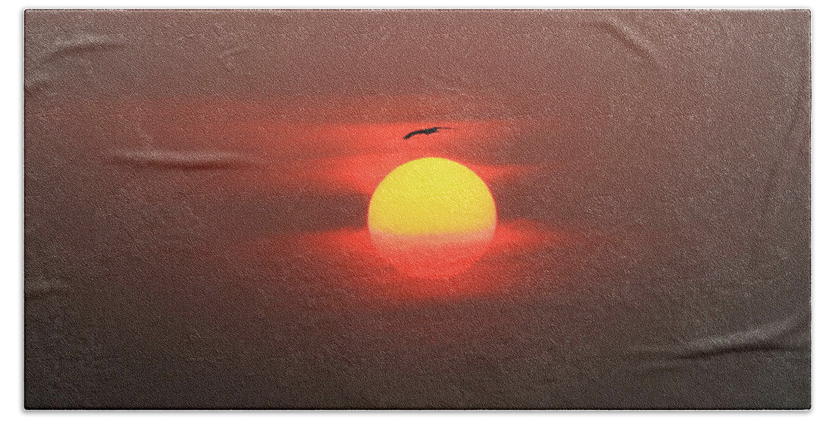 Sunrise Bath Towel featuring the photograph Soaring High by Roger Becker