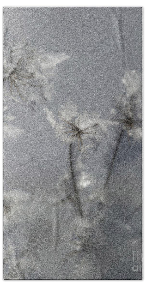 Nina Stavlund Bath Towel featuring the photograph Soft Winter Whisper.. by Nina Stavlund