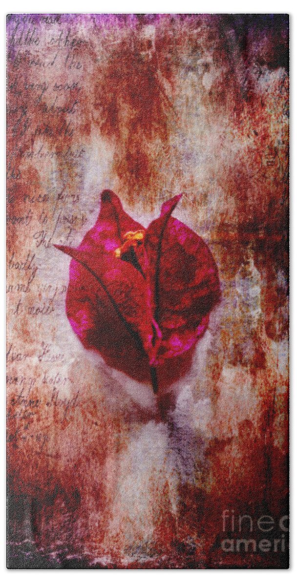 Flower Hand Towel featuring the photograph Solitude by Randi Grace Nilsberg