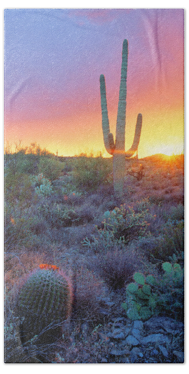 Arizona Bath Towel featuring the photograph Sonoran Desert Sunset by Adam Sylvester