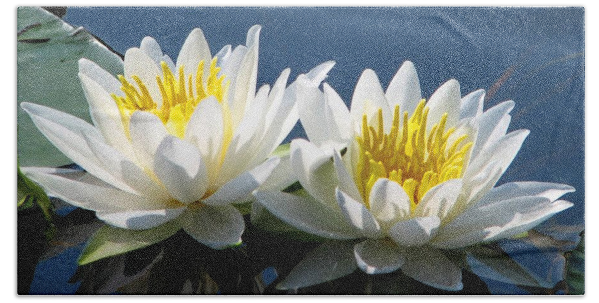Lotus Bath Towel featuring the photograph Soulmates by Angela Davies