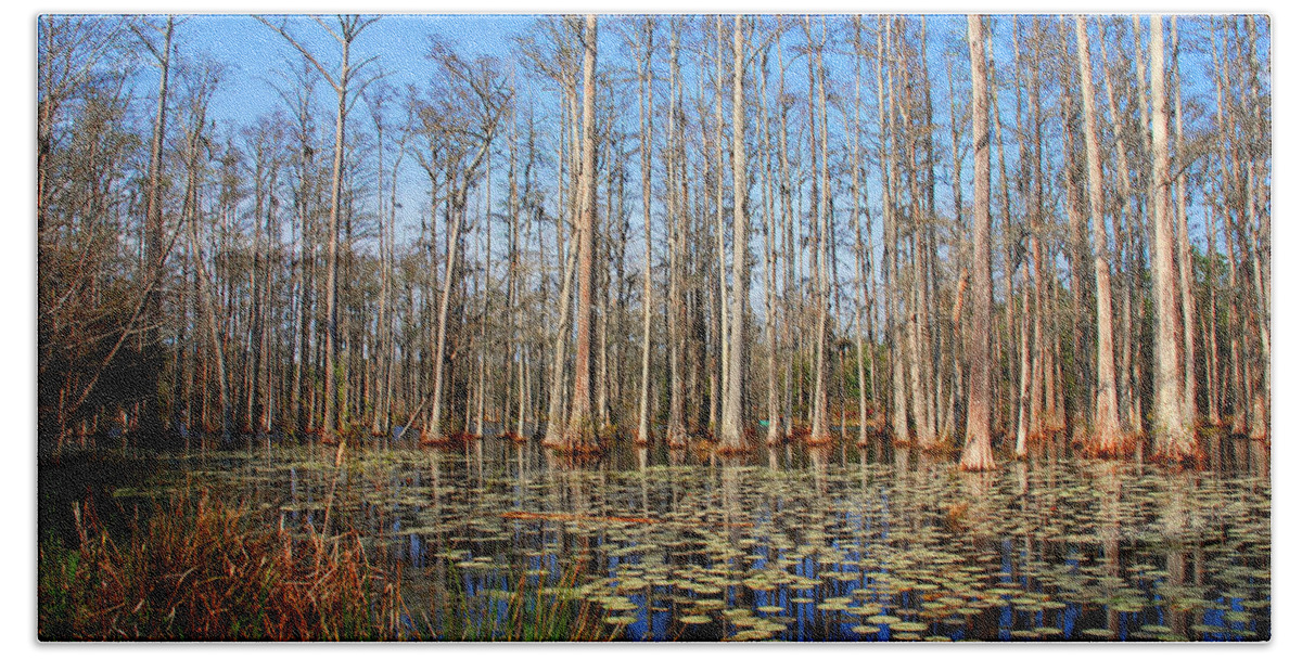 Photography Hand Towel featuring the photograph South Carolina Swamps by Susanne Van Hulst