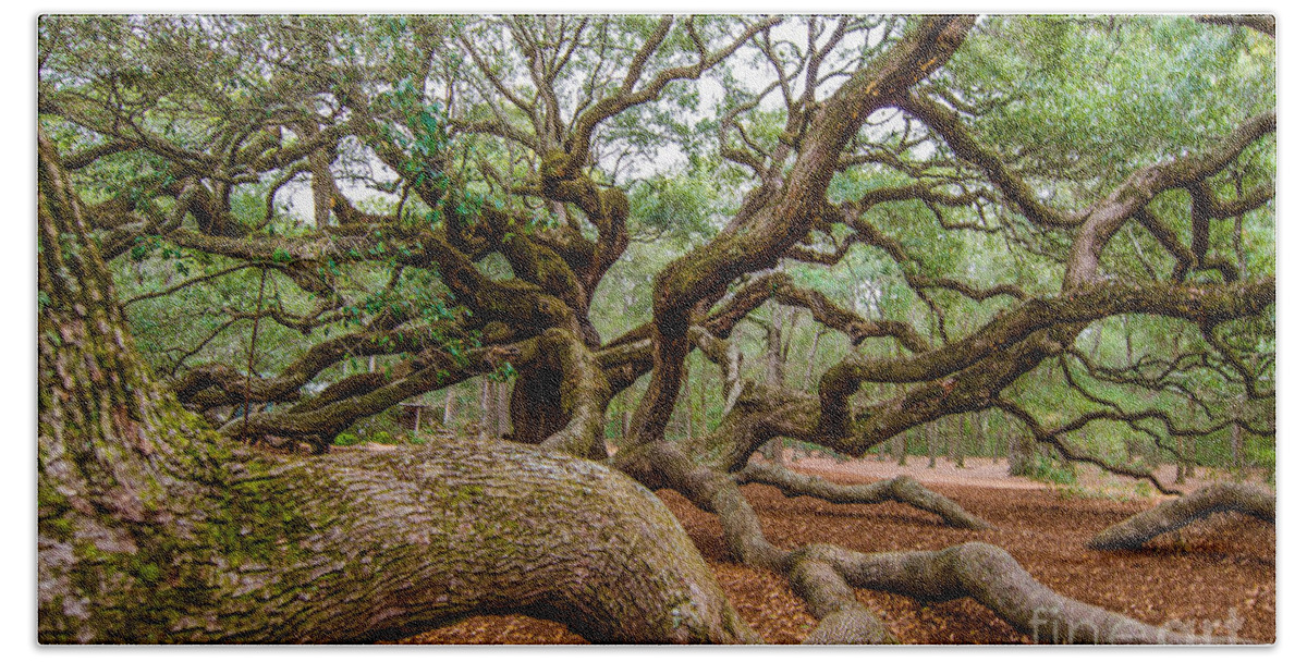 Angel Oak Tree Bath Towel featuring the photograph Southern Angel by Dale Powell