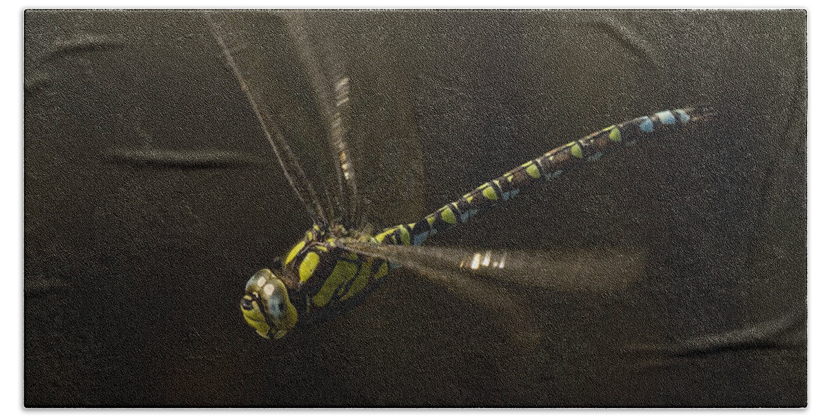 Dragonfly Hand Towel featuring the photograph Southern Hawker dragonfly in flight by Tony Mills