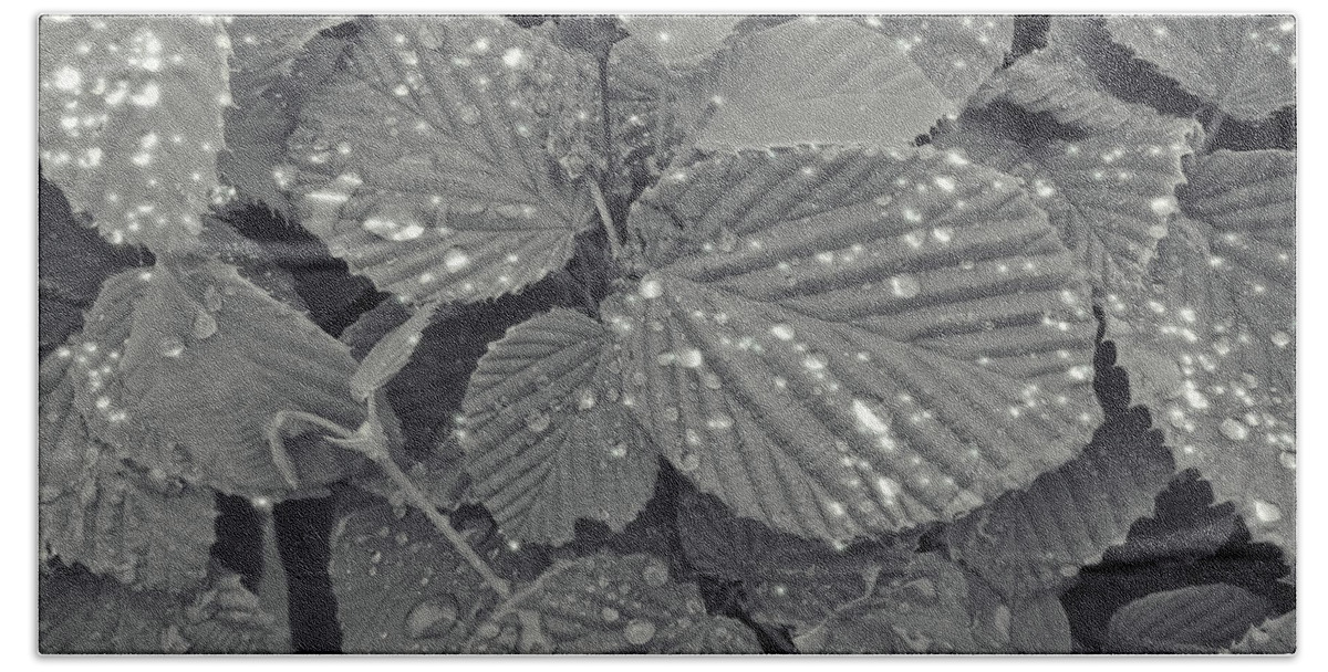 Leaves Bath Towel featuring the photograph Sparkling Leaves by Cathy Anderson