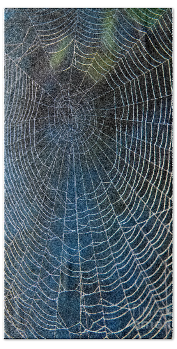 Spiderweb Bath Towel featuring the photograph Spider's Net by Heiko Koehrer-Wagner
