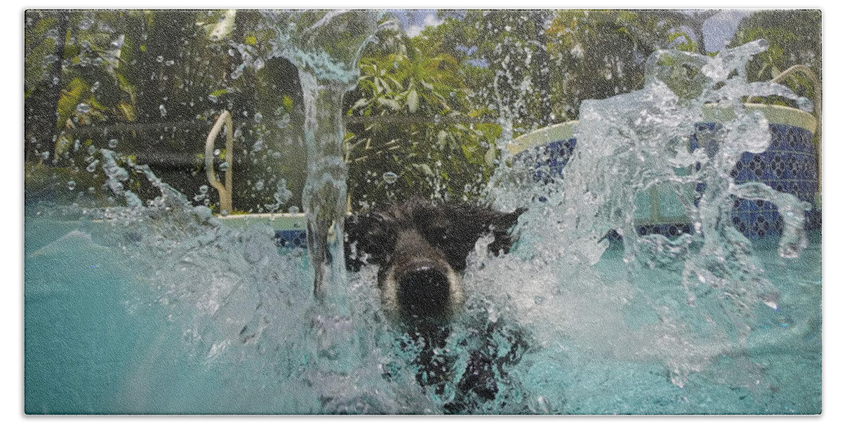 Dog Hand Towel featuring the photograph Splash down by Quinn Sedam