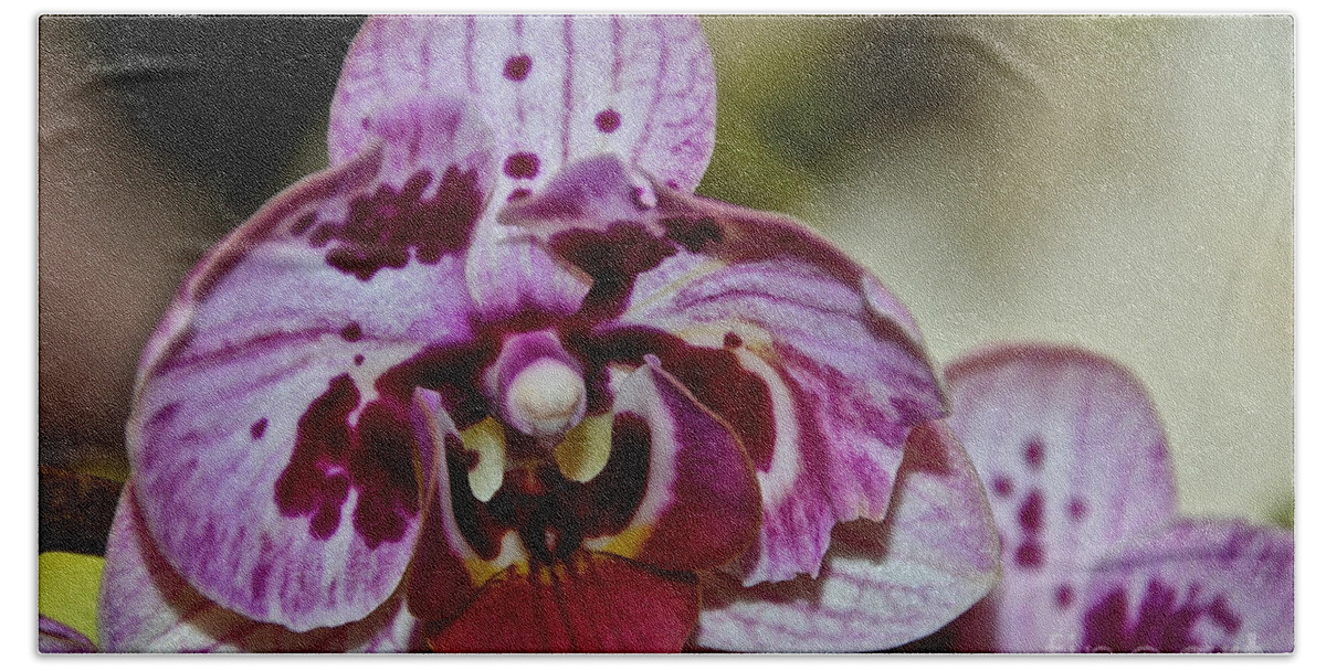 Flower Bath Sheet featuring the photograph Splashed Orchid by Susan Herber