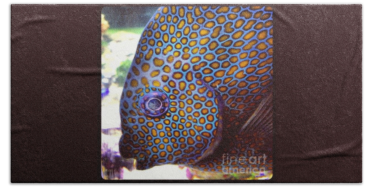 Fish Bath Towel featuring the photograph Spots by Denise Railey