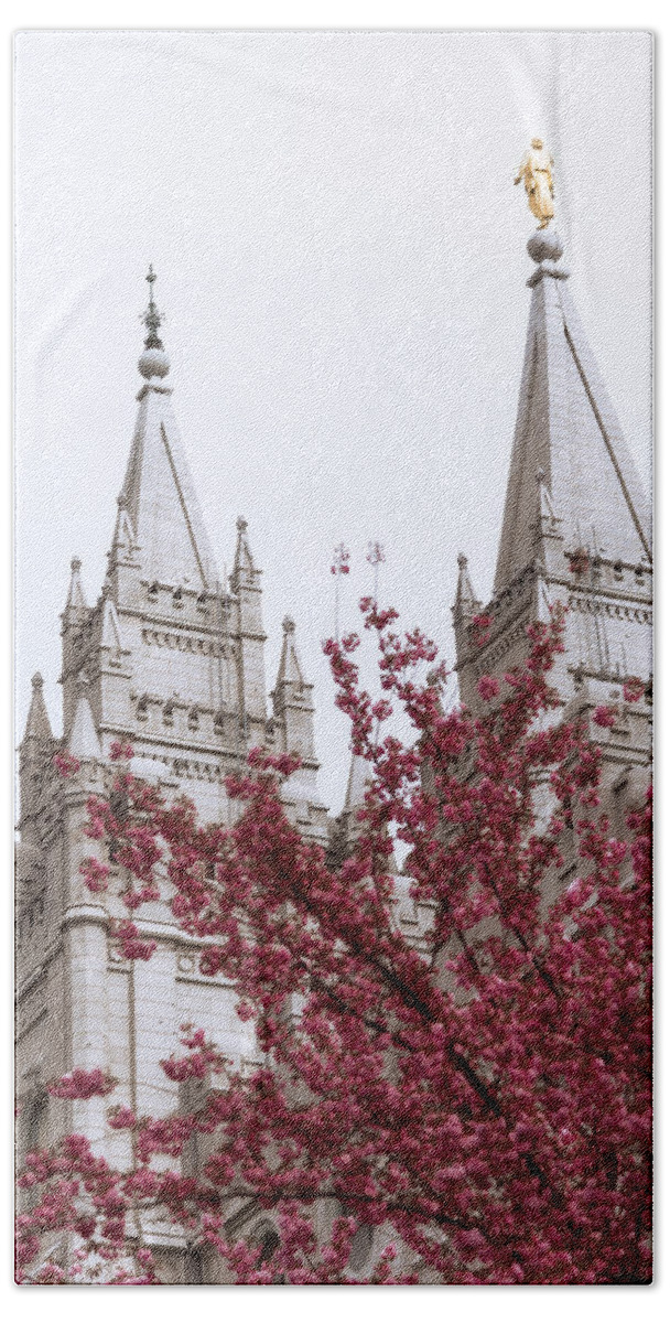 Spring At The Temple Hand Towel featuring the photograph Spring at the Temple by Chad Dutson