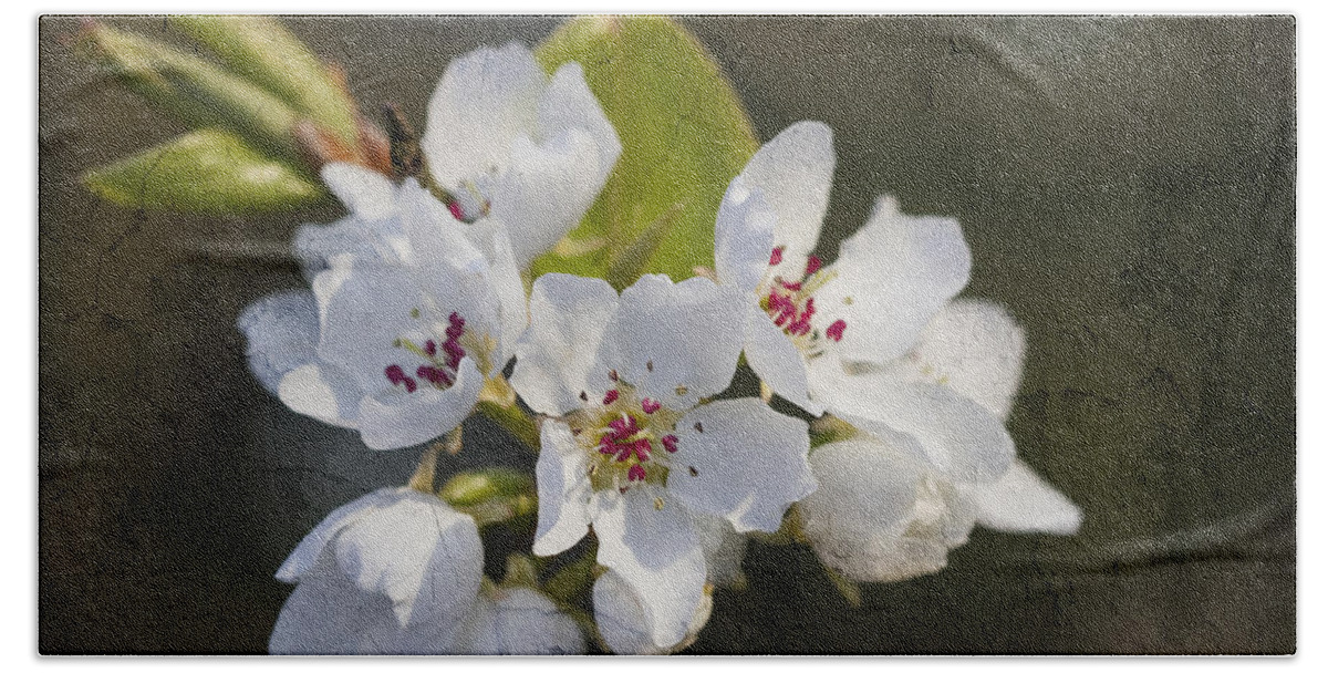 Pyrus Calleryana Bath Towel featuring the photograph Spring Blossoms by Kathy Clark
