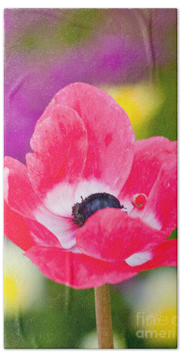 Flowers Bath Towel featuring the photograph Spring Has Sprung by John F Tsumas