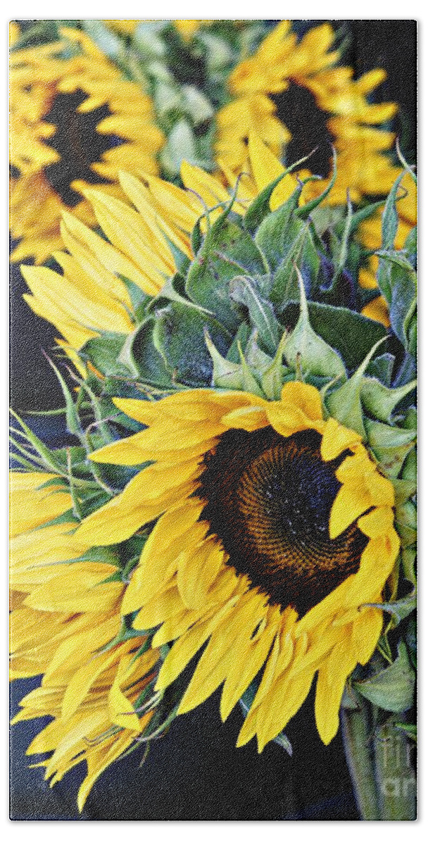 Sunflowers Bath Towel featuring the photograph Spring Sunflowers by Lilliana Mendez