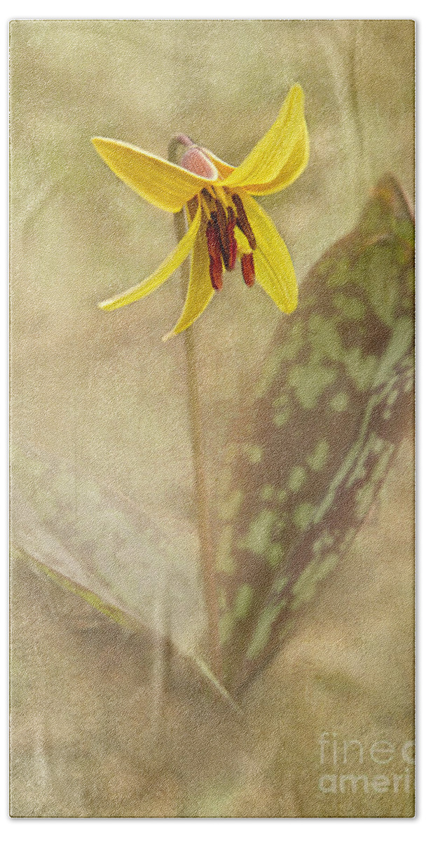 Native Bath Towel featuring the photograph Spring Trout Lily by Marilyn Cornwell