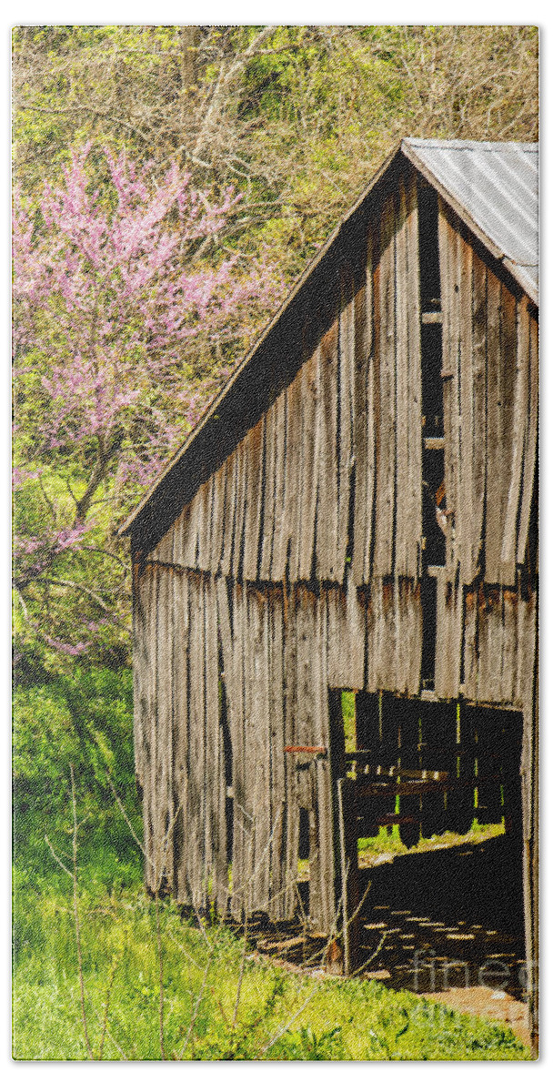 Abandoned Bath Towel featuring the photograph Springtime In Kentucky by Mary Carol Story