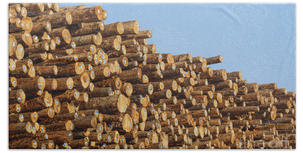 Construction Material Hand Towel featuring the photograph Stacks Of Logs by Bryan Mullennix