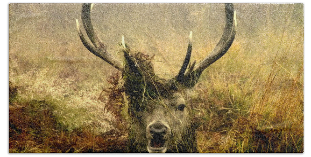 Deer Bath Towel featuring the photograph Stag Party The Series. One More For The Road by Linsey Williams