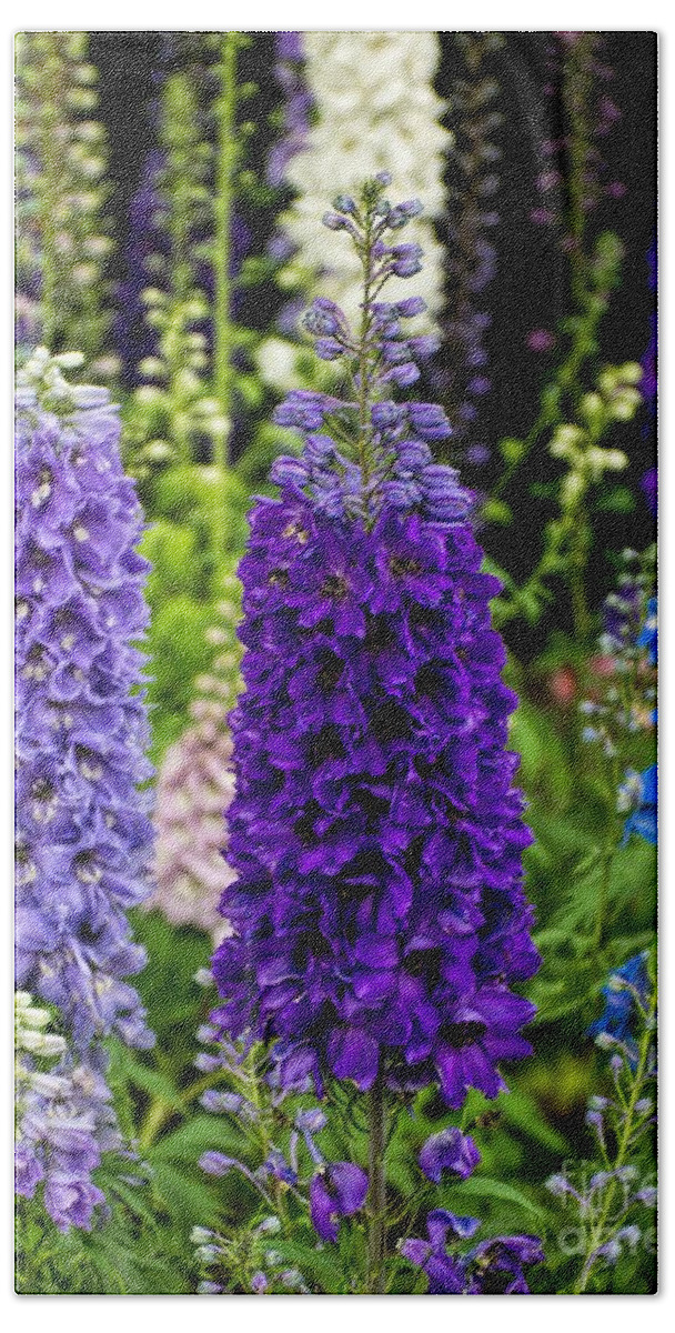 Delphinium Bath Towel featuring the photograph Stand Tall by Peggy Hughes