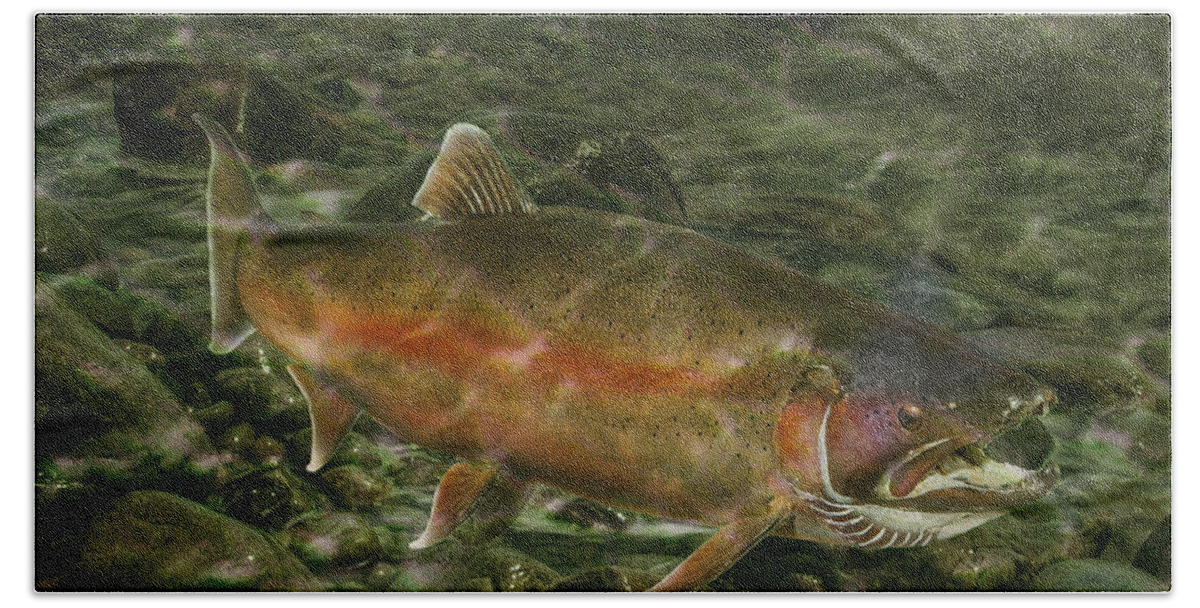 Trout Hand Towel featuring the photograph Steelhead Trout Spawning by Randall Nyhof