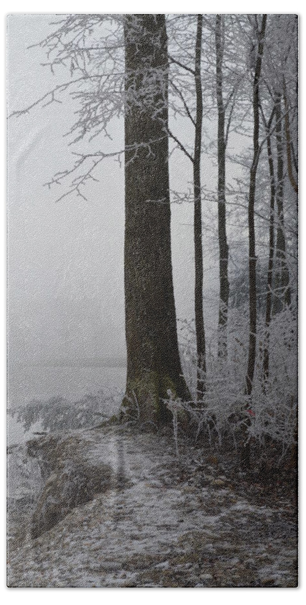 Landscape Hand Towel featuring the photograph Steep And Frost by Felicia Tica