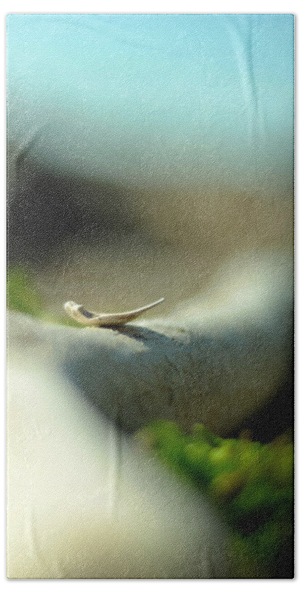 Mindfulness Bath Towel featuring the photograph Step Into Stillness by Rebecca Sherman