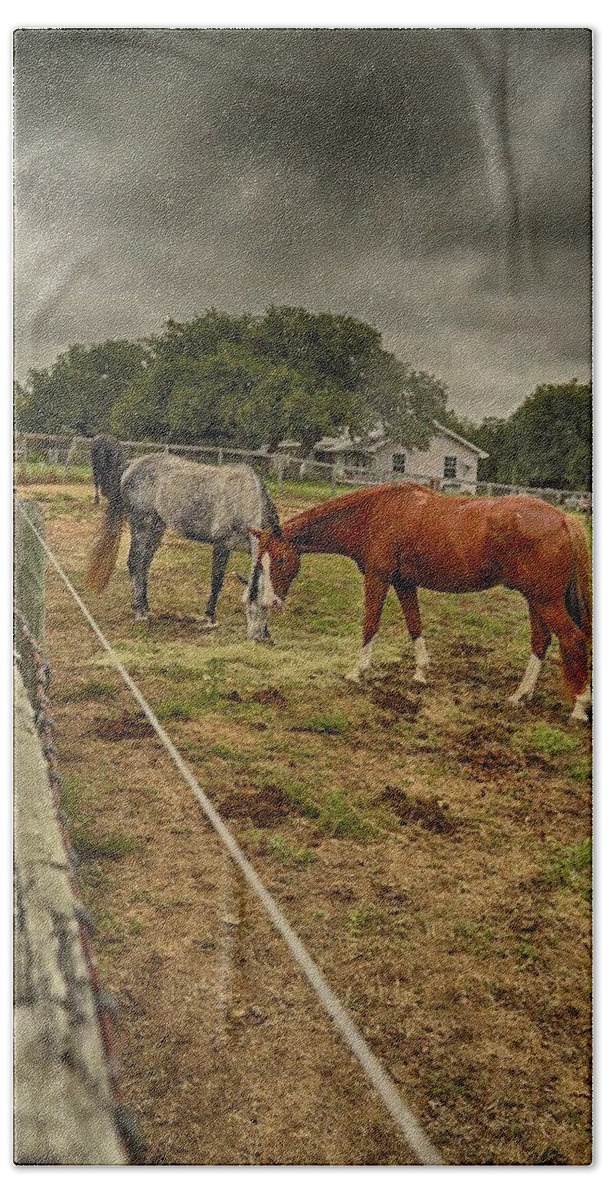 Horse Photograph Bath Towel featuring the photograph Stormy Skies by Kristina Deane