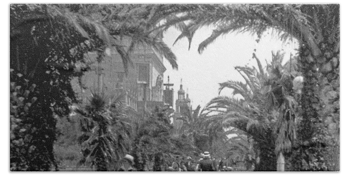 Vintage Photograph Hand Towel featuring the photograph Avenue of the Palms, San Francisco by A Macarthur Gurmankin