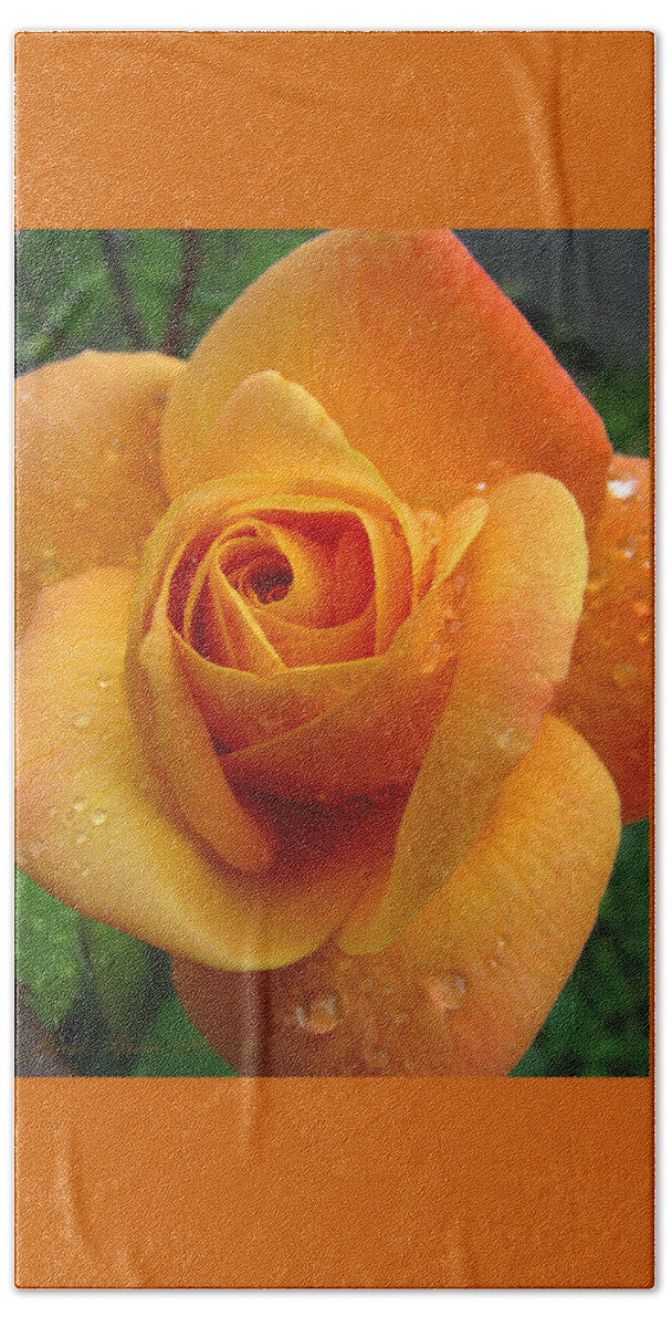 Yellow Flowers Hand Towel featuring the photograph Strike It Rich - Yellow Roses - Summer Flowers by Brooks Garten Hauschild